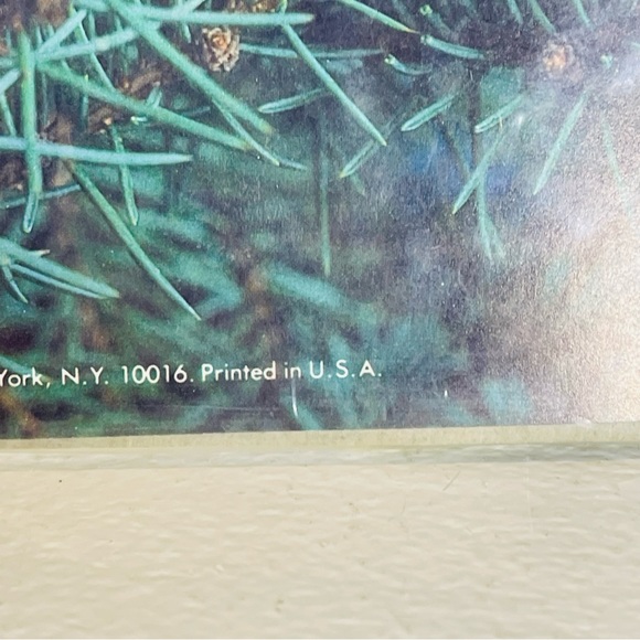 Vintage 1978 Crewel kit Christmas ornaments House Horse 7861 Columbia Minerva - Picture 5 of 10